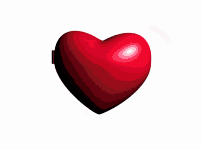 IMG_4218.gif