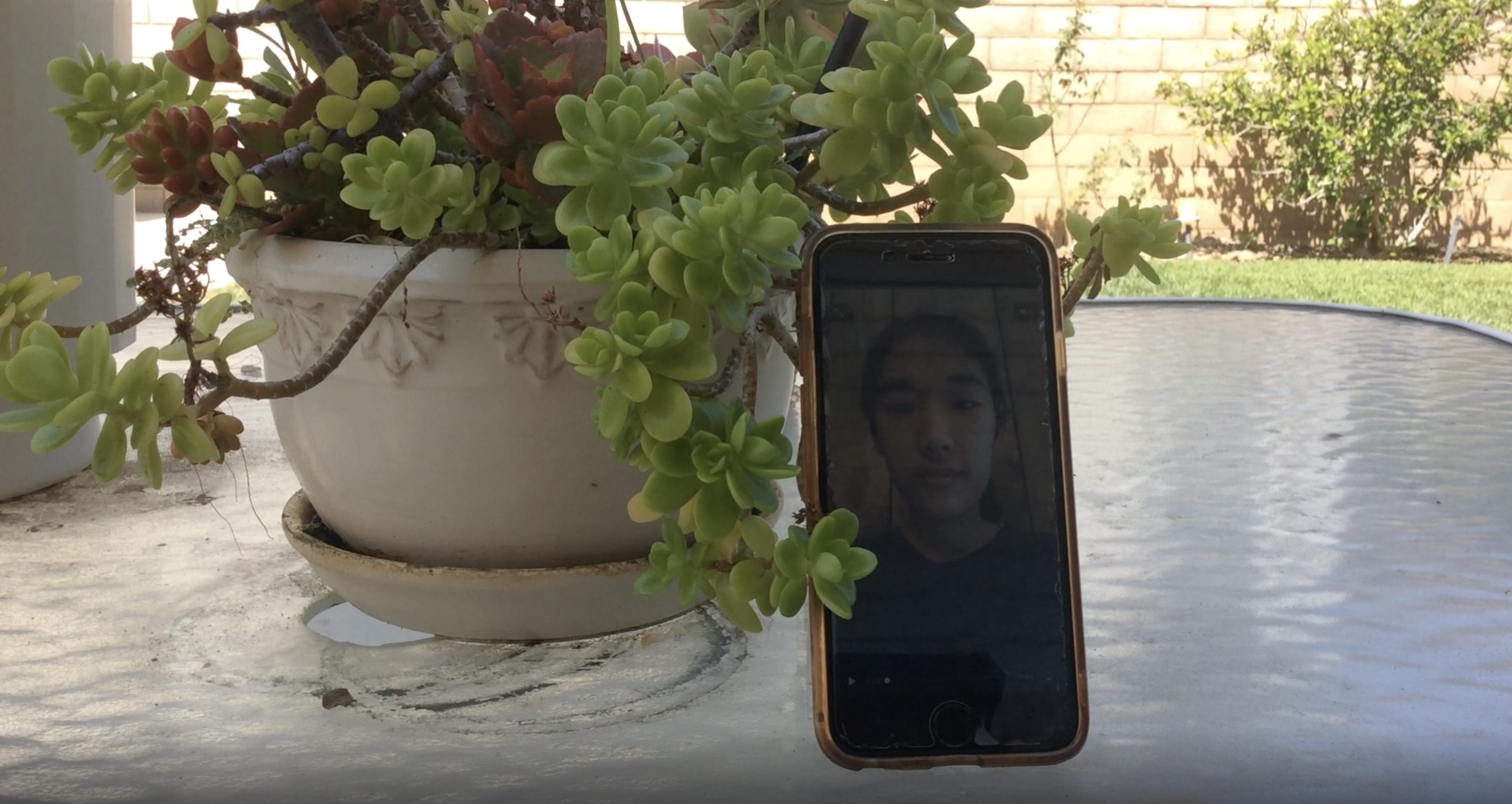 Potted plant thumbnail