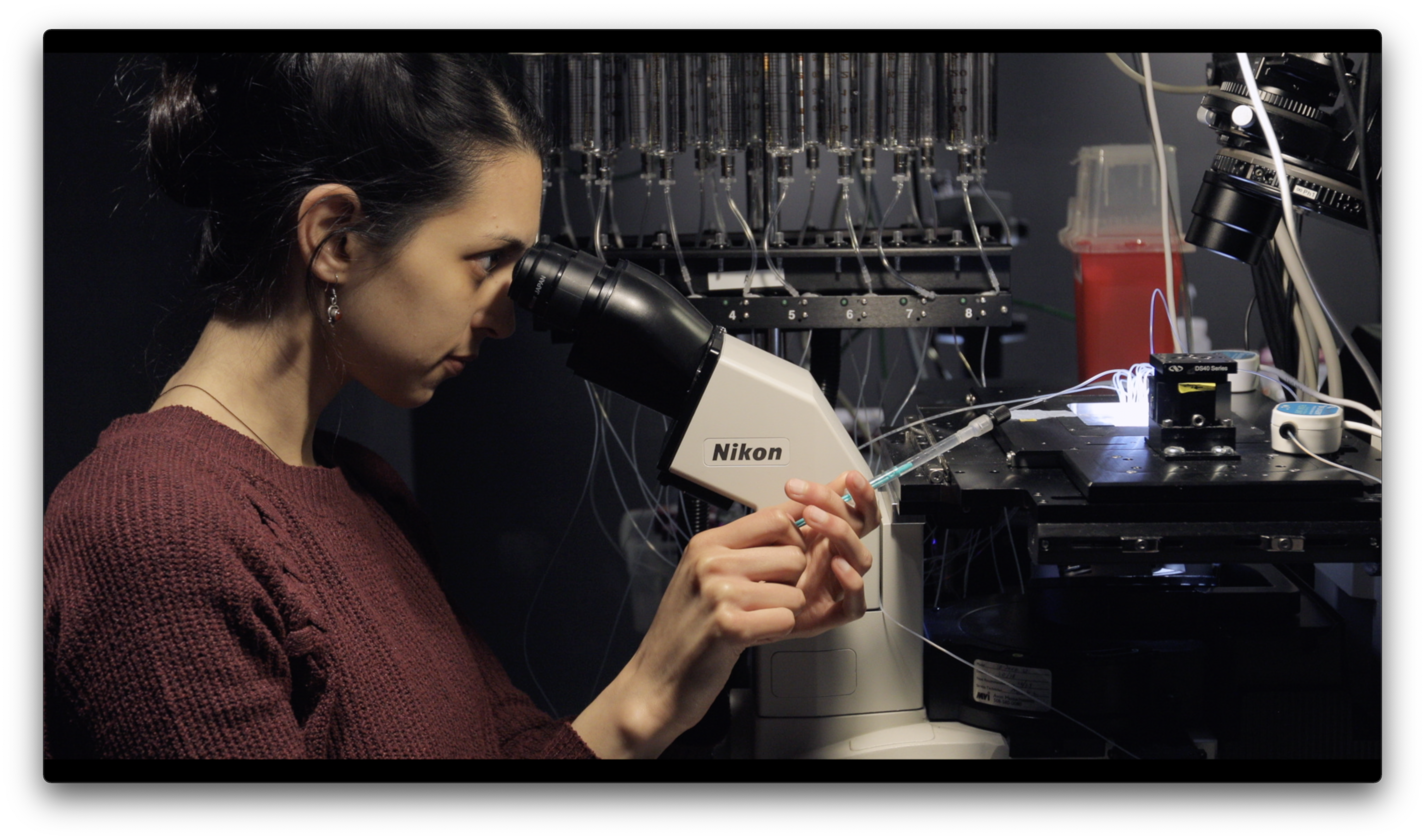 example of a medium shot