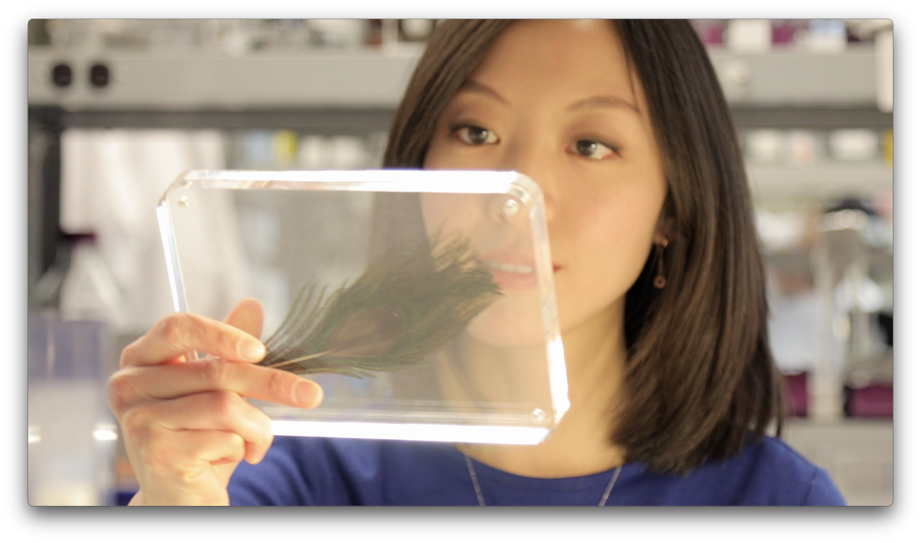 example of a close-up