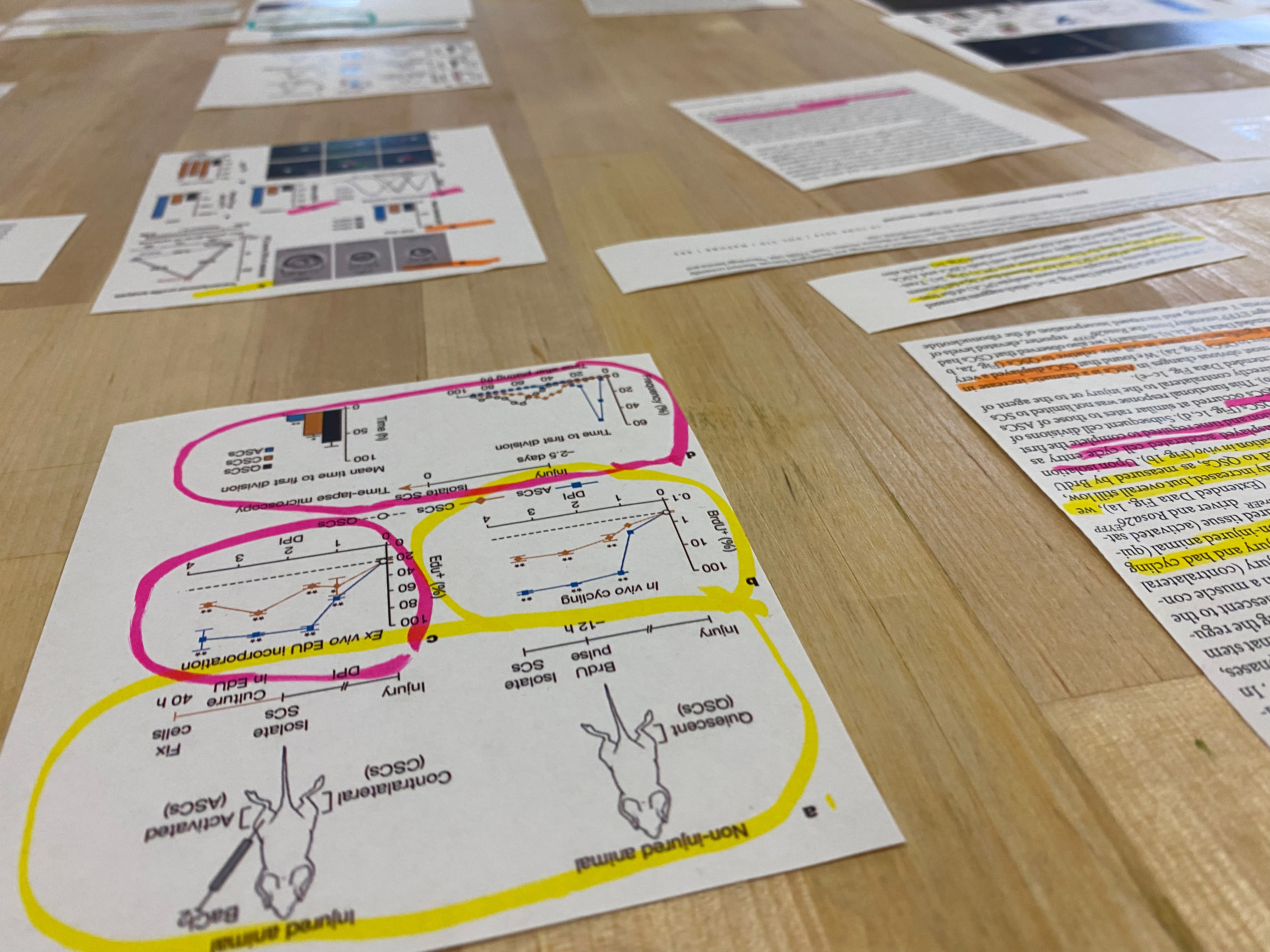 SCRB111 workshop.jpg