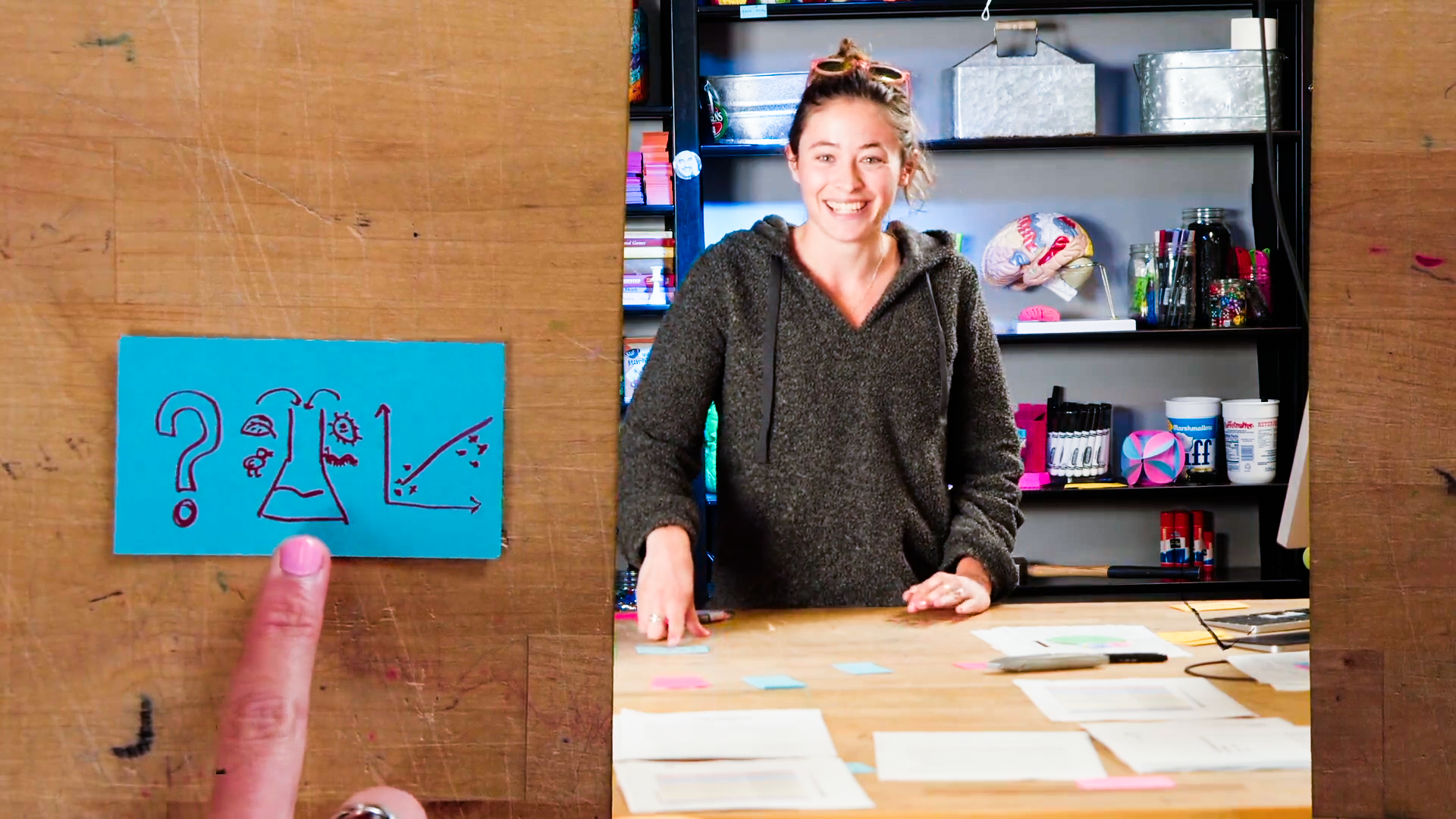 OEB 51: Biology and Evolution of Invertebrate Animals