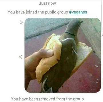 Its-just-a-bird-sandwich-you-racist-vegans.jpg